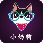 小奶狗定制app自定义logo设计v4.3.315安卓版