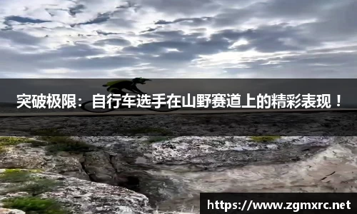 爱游戏体育